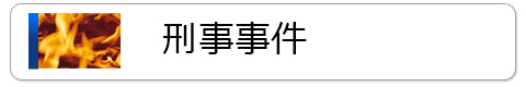 刑事事件